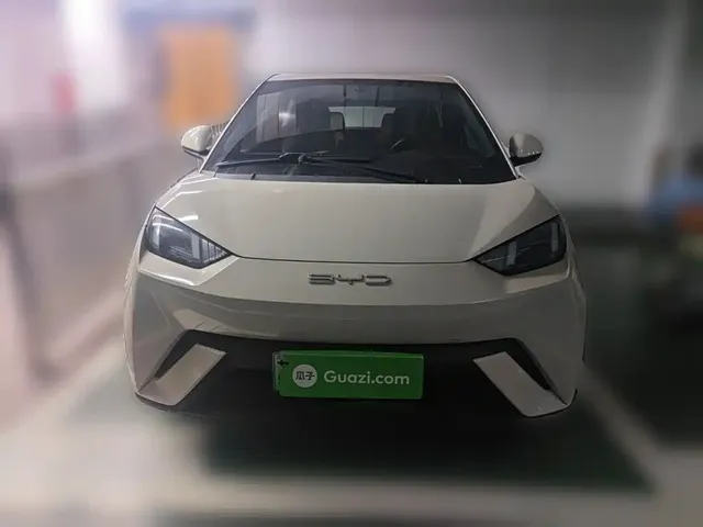 2023 BYD Seagull Flying