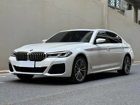2022 BMW 5 Series 530Li Leading M Sport Package