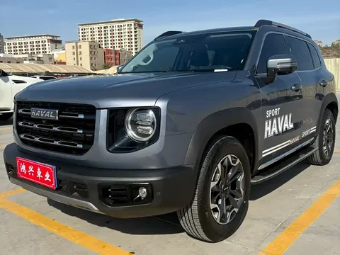 2022 Haval Dargo 2.0T DCT 4WD Chinese Rural Dog Edition