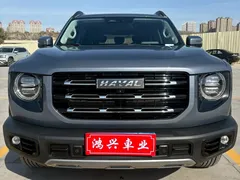 2022 Haval Dargo 2.0T DCT 4WD Chinese Rural Dog Edition — фото 2