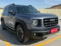 2022 Haval Dargo 2.0T DCT 4WD Chinese Rural Dog Edition — фото 3