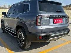 2022 Haval Dargo 2.0T DCT 4WD Chinese Rural Dog Edition — фото 7
