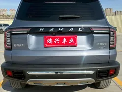 2022 Haval Dargo 2.0T DCT 4WD Chinese Rural Dog Edition — фото 8