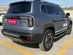 2022 Haval Dargo 2.0T DCT 4WD Chinese Rural Dog Edition — фото 9