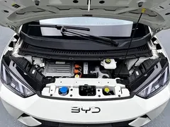 2025 BYD Seagull 305km Vitality — фото 16