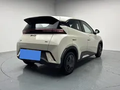 2025 BYD Seagull 305km Vitality — фото 17