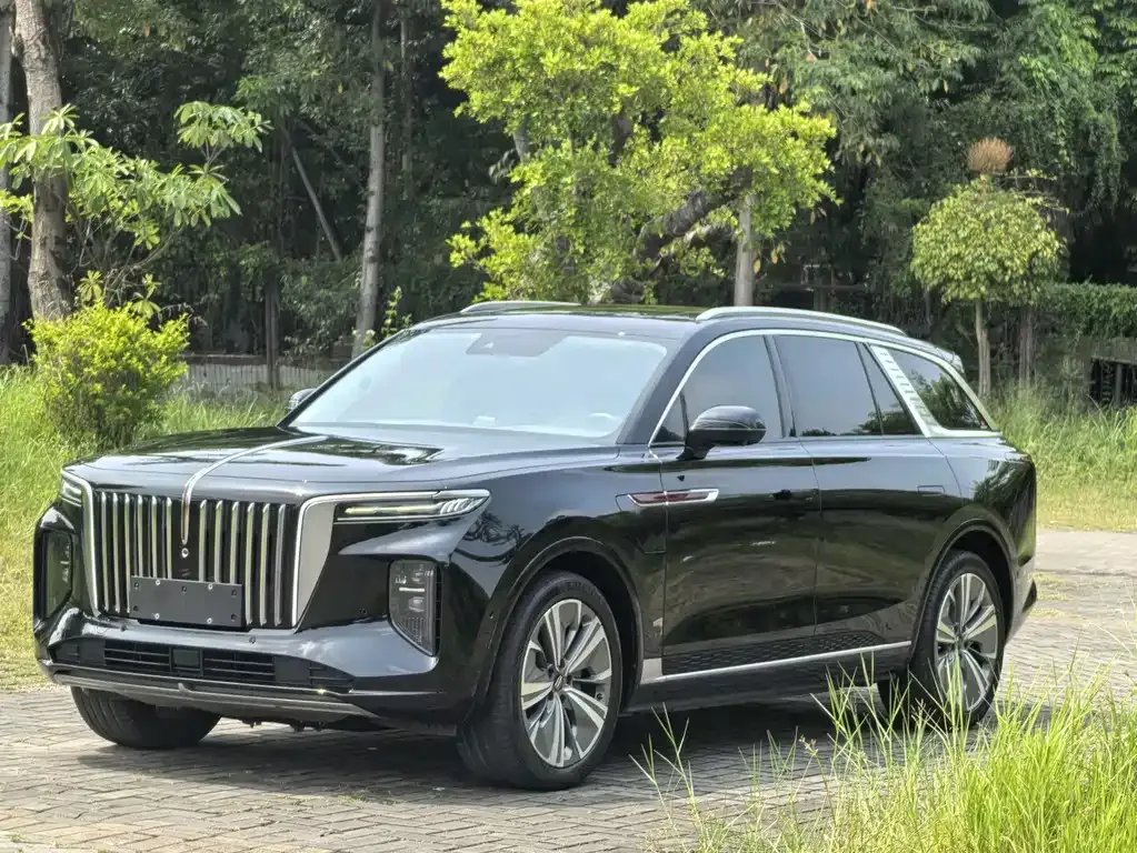 2022 Hongqi E-HS9 690km 6-seat