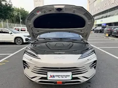 2025 BYD Song PLUS DM-i 112KM PHEV Premium — фото 15