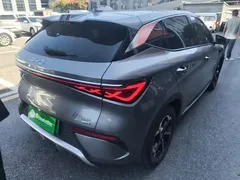 2025 BYD Yuan PLUS Smart Driving 510km Leading — фото 7