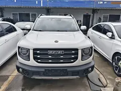 2022 Haval Dargo 2.0T DCT 4WD Chinese Rural Dog Edition, белый — фото 2