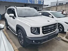 2022 Haval Dargo 2.0T DCT 4WD Chinese Rural Dog Edition, белый — фото 3