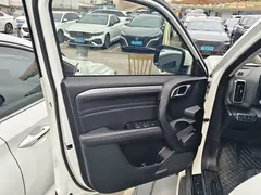 2022 Haval Dargo 2.0T DCT 4WD Chinese Rural Dog Edition, белый — фото 13