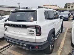 2022 Haval Dargo 2.0T DCT 4WD Chinese Rural Dog Edition, белый — фото 14