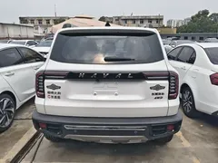 2022 Haval Dargo 2.0T DCT 4WD Chinese Rural Dog Edition, белый — фото 15