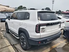 2022 Haval Dargo 2.0T DCT 4WD Chinese Rural Dog Edition, белый — фото 16