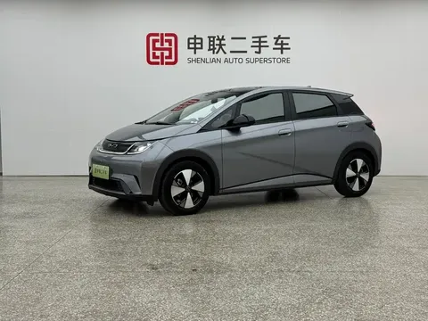 2023 BYD Dolphin 420km Fashion