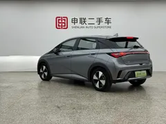 2023 BYD Dolphin 420km Fashion — фото 2
