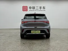 2023 BYD Dolphin 420km Fashion — фото 4