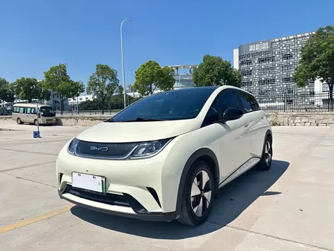 2023 BYD Dolphin 420km Fashion