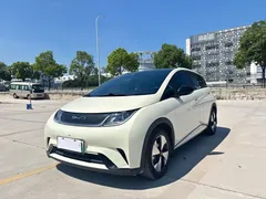 2023 BYD Dolphin 420km Fashion — фото 1