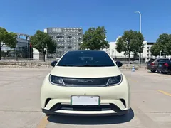 2023 BYD Dolphin 420km Fashion — фото 2