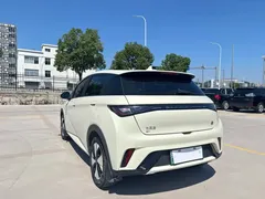 2023 BYD Dolphin 420km Fashion — фото 6