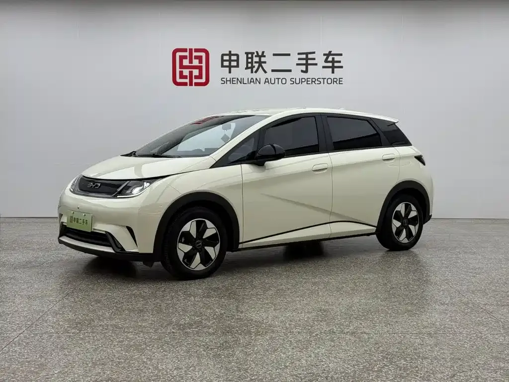 2025 BYD Dolphin 420km Freedom
