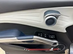 2022 BYD Yuan PLUS EV 430km Premium — фото 12