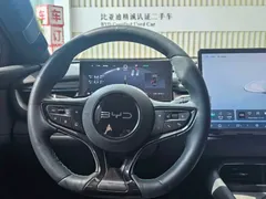 2025 BYD Seal 06 GT Smart Driving 505km Plus, чёрный — фото 8