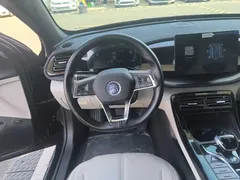 2024 BYD Qin PLUS Honor DM-i PHEV 55km Leading, чёрный — фото 11