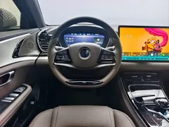 2025 BYD Han PHEV 125km Elite — фото 13