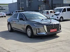 2023 Hongqi H5 2.0T AT Smart Connect, белый — фото 3