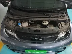 2025 BYD Dolphin 420km Freedom, синий — фото 20