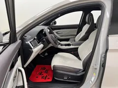 2025 BYD Song PLUS EV 520km Luxury — фото 15