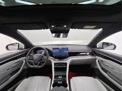 2025 BYD Song PLUS EV 520km Luxury — фото 19