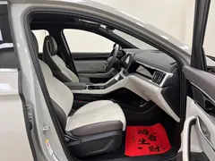 2025 BYD Song PLUS EV 520km Luxury — фото 29