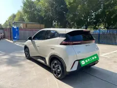 2025 BYD Seagull 305km Freedom, белый — фото 5