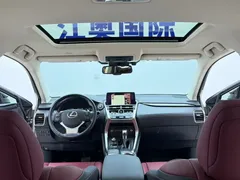 2020 Lexus NX 200 4WD Fashion — фото 16