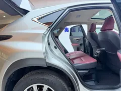 2020 Lexus NX 200 4WD Fashion — фото 17