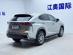 2020 Lexus NX 200 4WD Fashion — фото 19