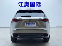 2020 Lexus NX 200 4WD Fashion — фото 20