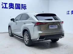 2020 Lexus NX 200 4WD Fashion — фото 21