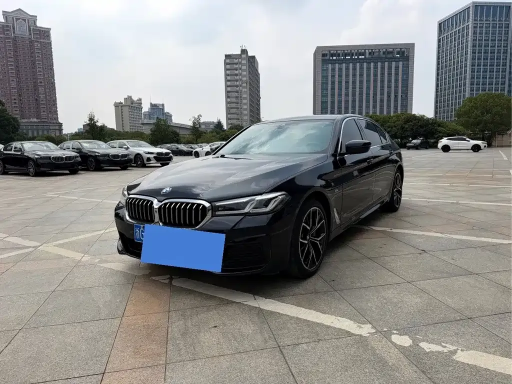 2021 BMW 5 Series 530Li Premium M Sport Package