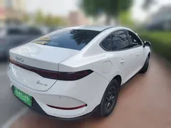2025 BYD Qin PLUS DM-i PHEV Smart Driving 128km Advance, белый — фото 4