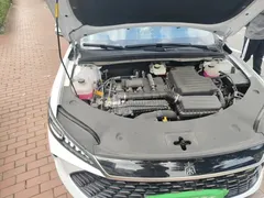 2025 BYD Qin PLUS DM-i PHEV Smart Driving 128km Advance, белый — фото 21