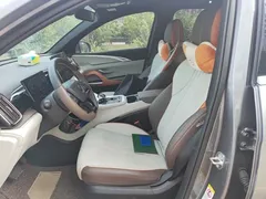 2022 BYD Song Pro DM-i PHEV 51km Premium — фото 11