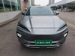2023 BYD Song PLUS Champion EV 520km Premium — фото 3