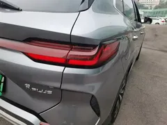 2023 BYD Song PLUS Champion EV 520km Premium — фото 8