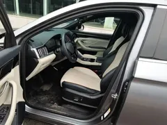 2023 BYD Song PLUS Champion EV 520km Premium — фото 15