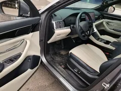 2023 BYD Song PLUS Champion EV 520km Premium — фото 16